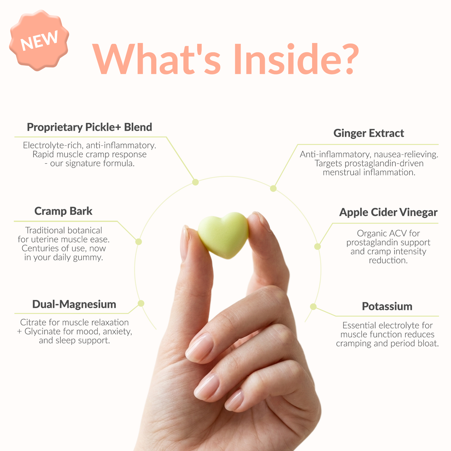 PumPums™ Daily Cycle Essentials — Upgraded All-in-One Cycle Wellness Gummies